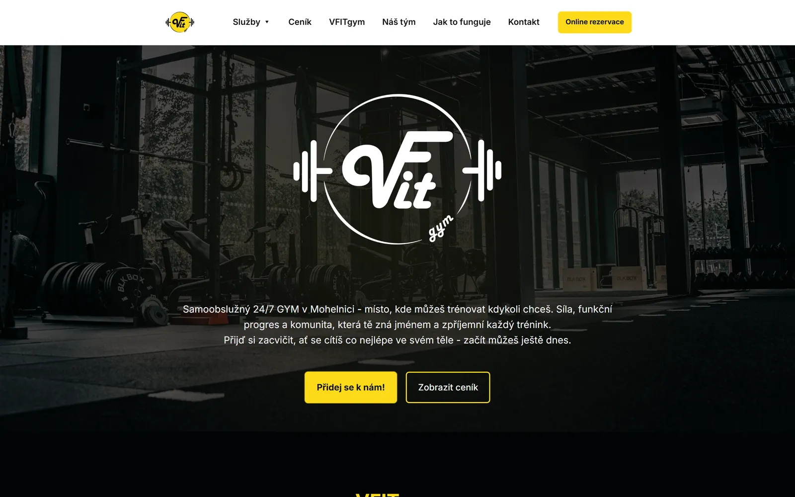 Náhled webu vfitgym.cz